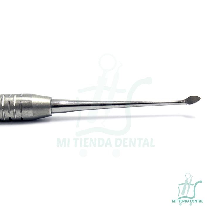 DISCOIDE CLEOIDE CD4/56 HU FREIDY